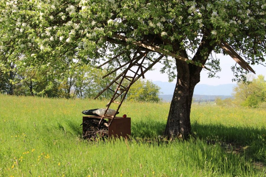 Skulptur unter einem Baum am Schlossberg